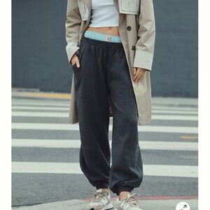 Anthropologie Charcoal Zola Joggers